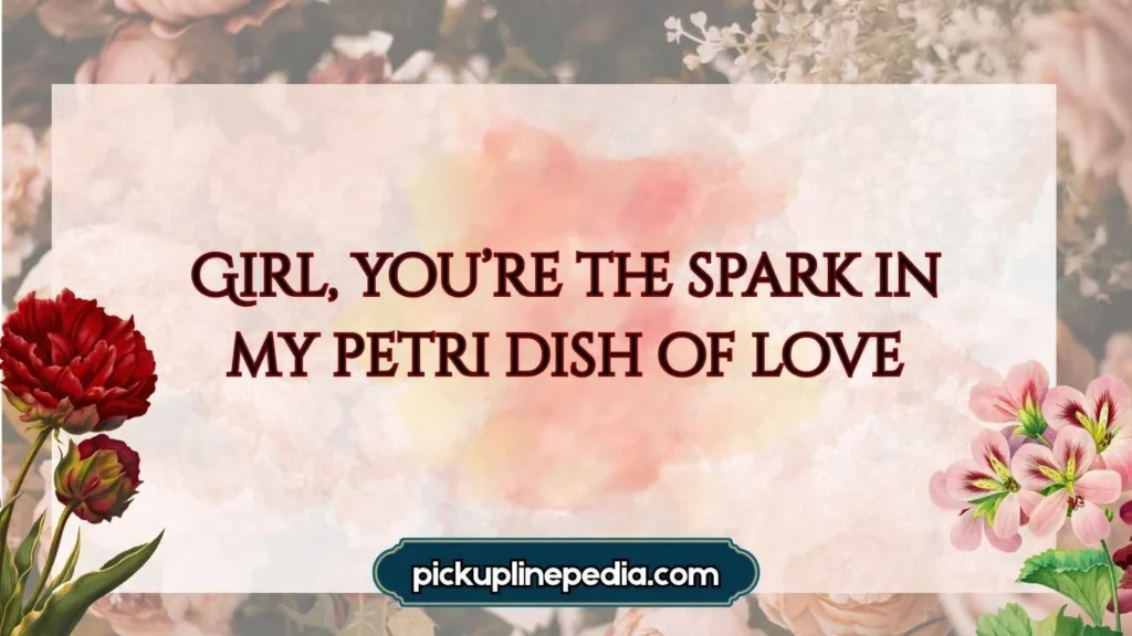 Petri Dish Passion 🧫