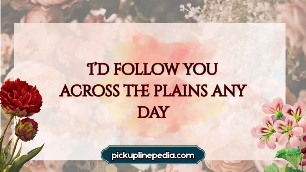 Best Bison Pickup Lines 