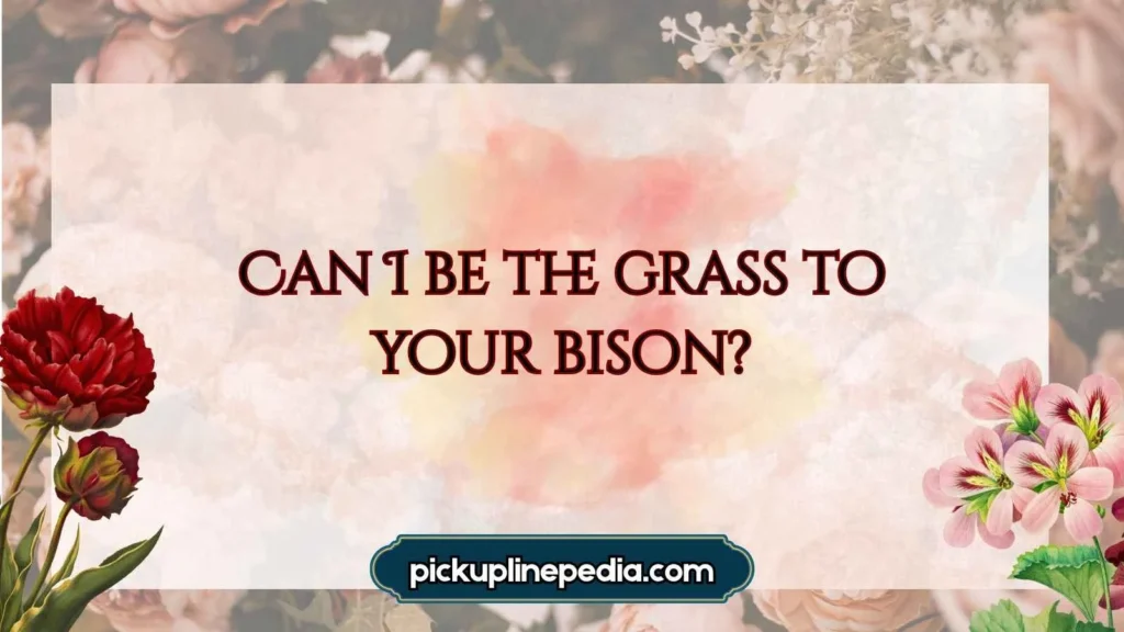 Cheesy Bison Pickup Lines 