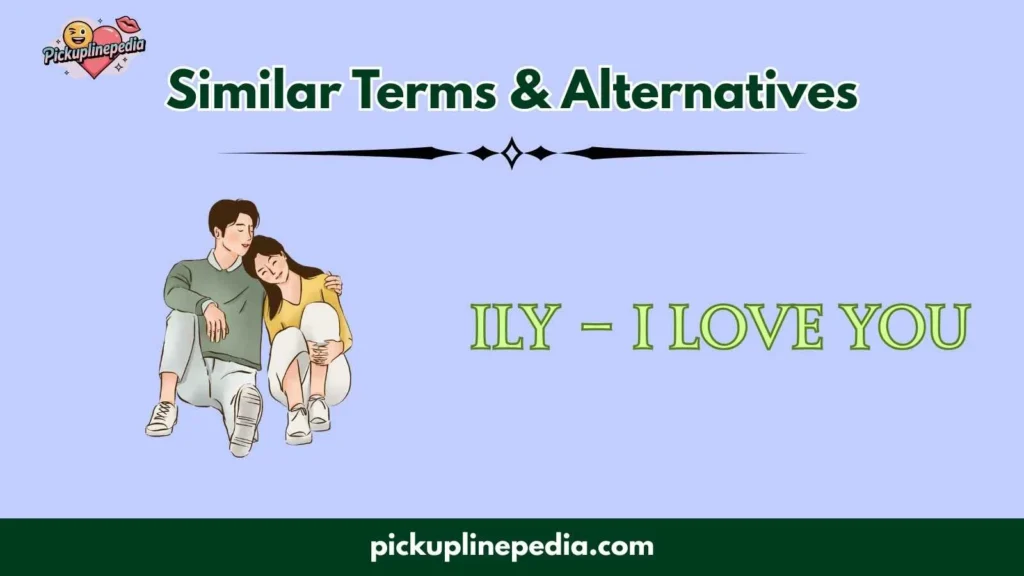 Similar Terms & Alternatives