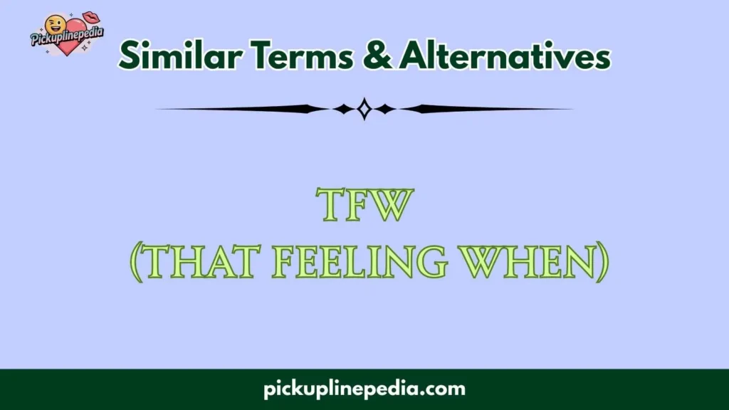 Similar Terms & Alternatives