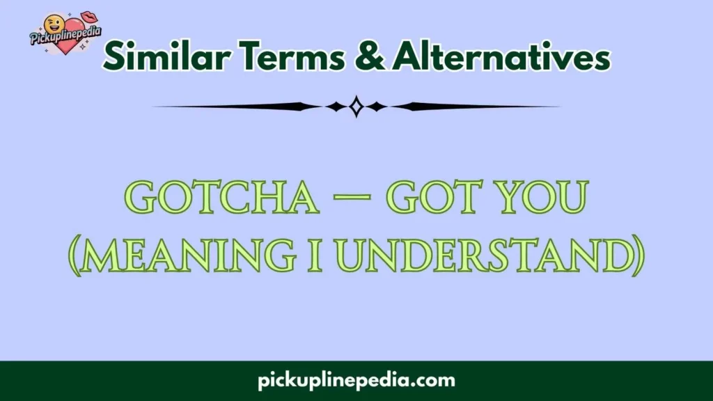 Similar Terms & Alternatives