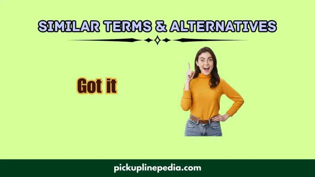 Similar Terms & Alternatives