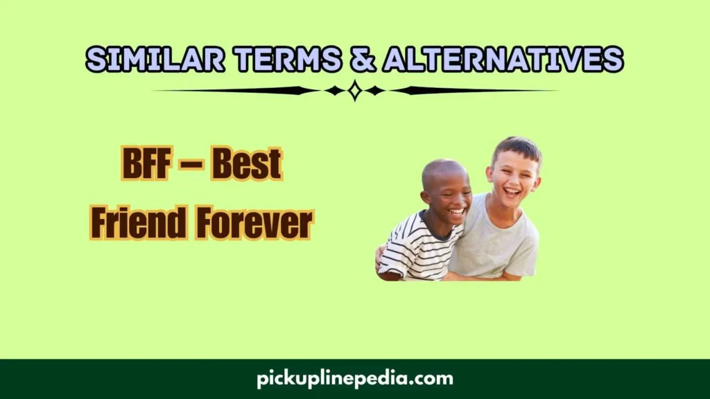 Similar Terms & Alternatives