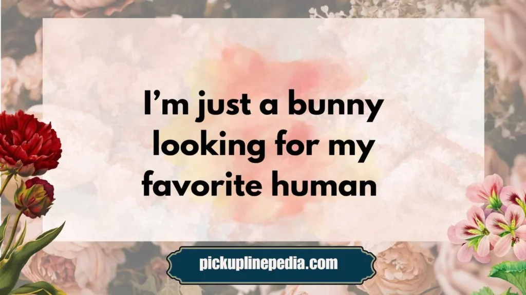 Bun-Themed Pick Up Lines
