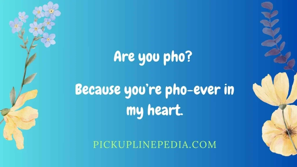 Cheesy Pho Pick Up Lines