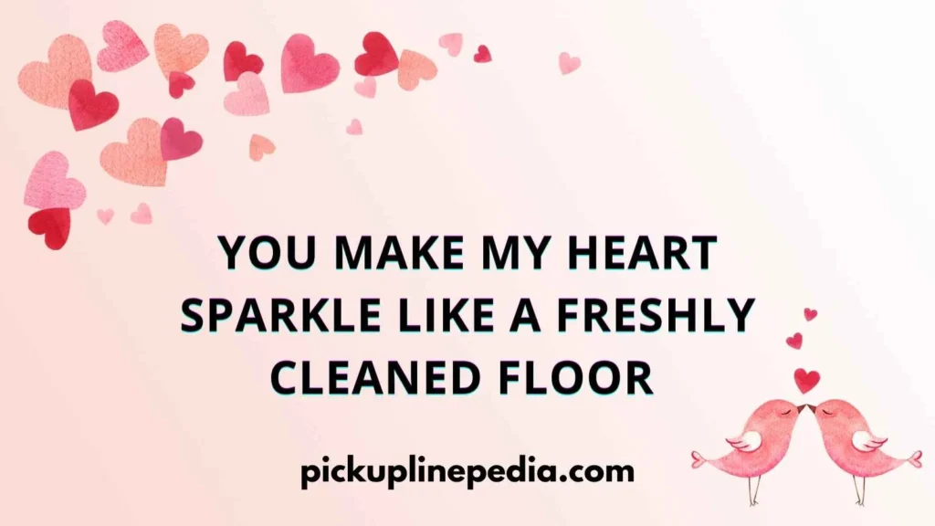  Cleaning Brush Pickup Lines