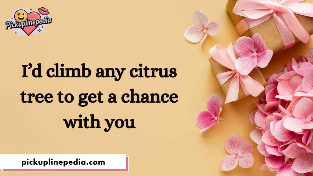 Confident Tart Pickup Lines
