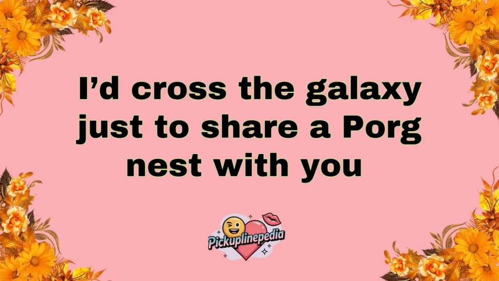 Cute Porg Pickup Lines
