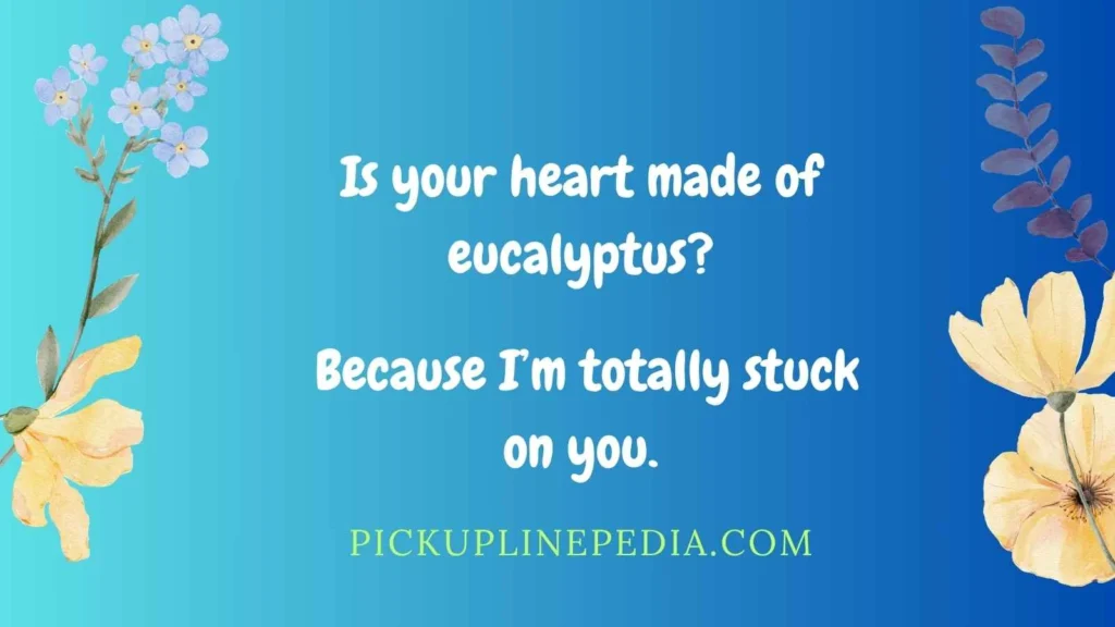 Eucalyptus Loving Koala Pick Up Lines