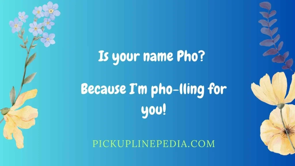 Funny Pho Pick Up Lines