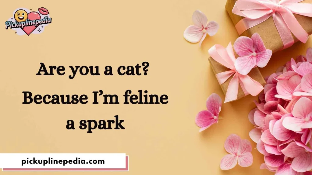 Funny Pickup Lines to Break