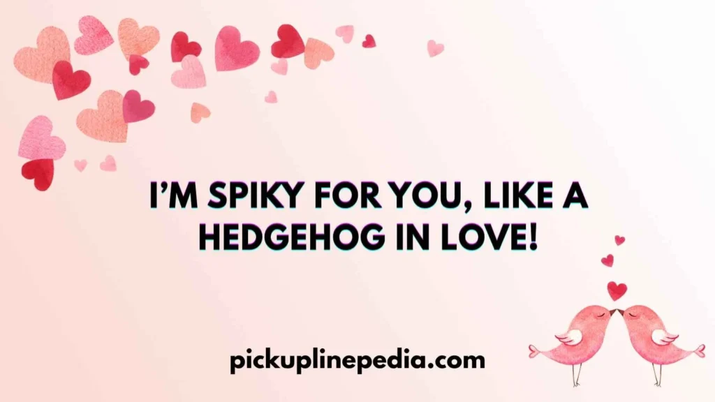 Hedgehog Pickup Lines
