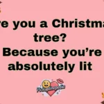 Holiday Pickup Lines
