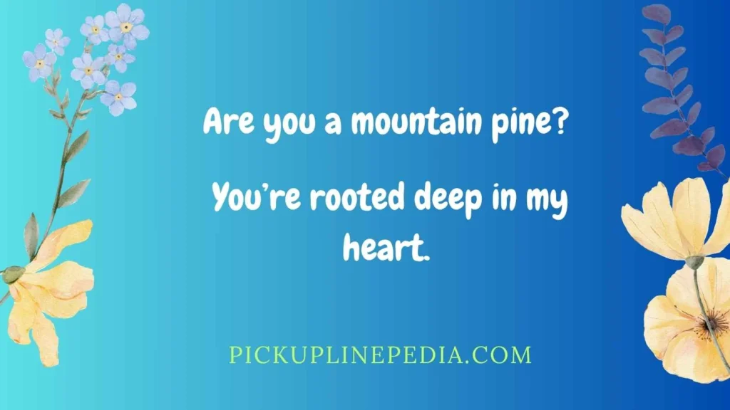 Nature Inspired Mountain Pickup Lines