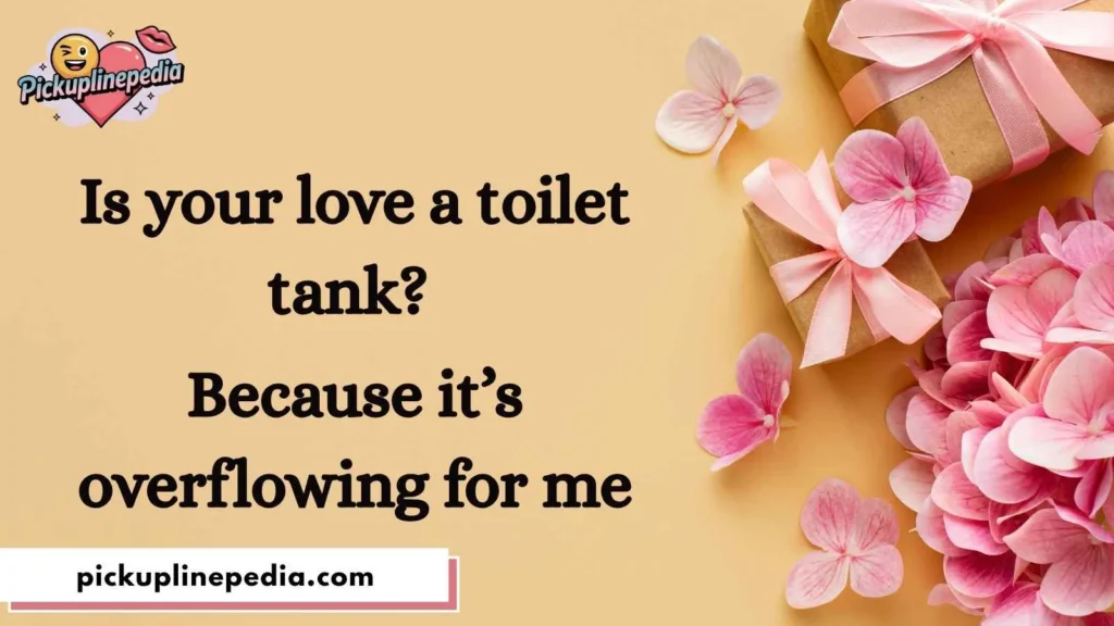 Romantic Toilet-Themed Pickup Lines