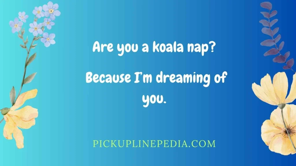 Sleepy Koala Pick Up Lines