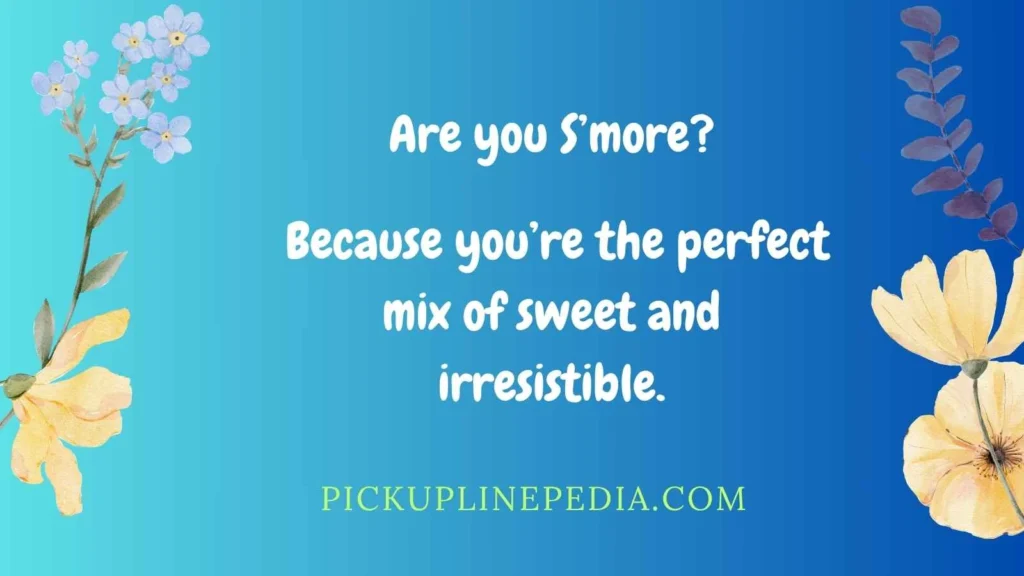 S’more Marshmallow Pickup Lines
