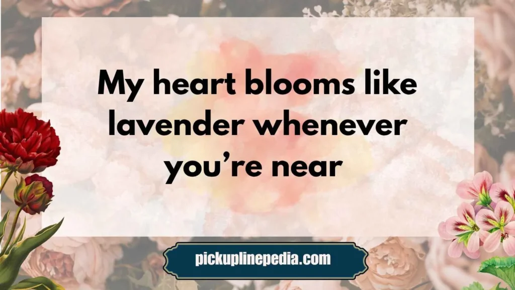 Sweet Lavender Romance Lines