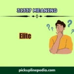 31337 meaning