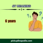 6y meaning